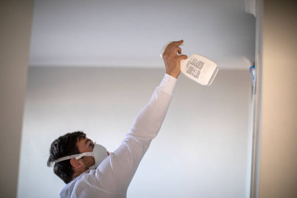 Best Emergency Mold Removal  in Rutherford, NJ