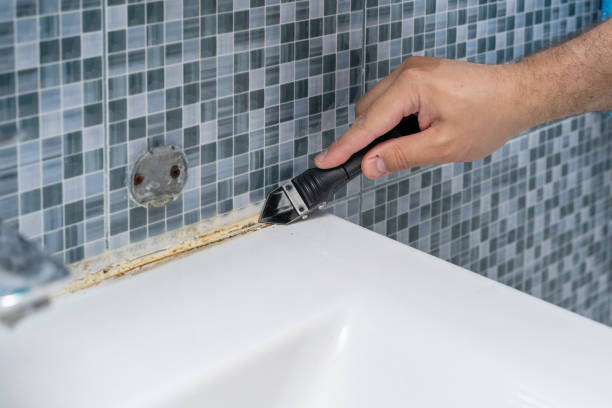 Mold Removal Process in Rutherford, NJ