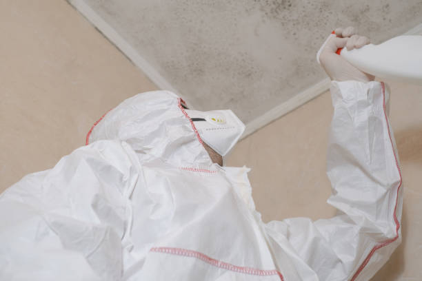 Best Water Damage Restoration  in Rutherford, NJ