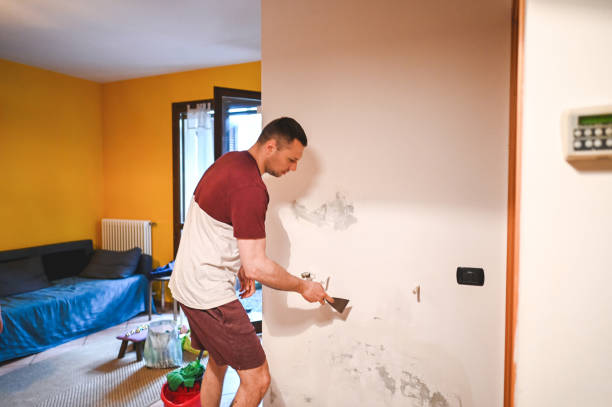 Best Crawl Space Mold Removal  in Rutherford, NJ