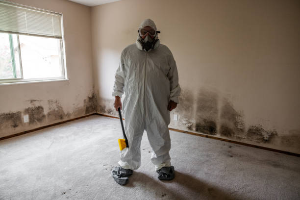Best Office Mold Removal Services  in Rutherford, NJ